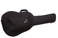 Semi-Hollow Body Electric Guitar Bag V189