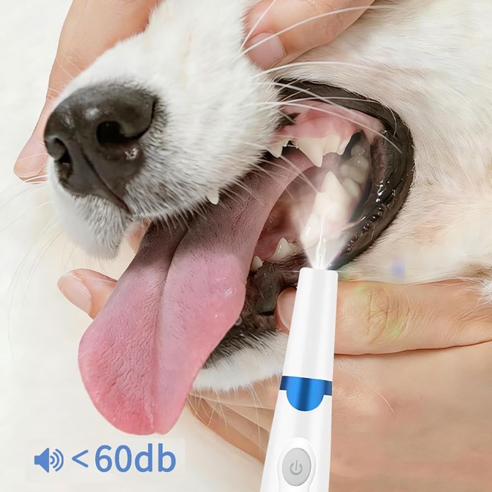 Pet Ultrasonic Tooth Cleaner with 3 Adjustable Modes F53110