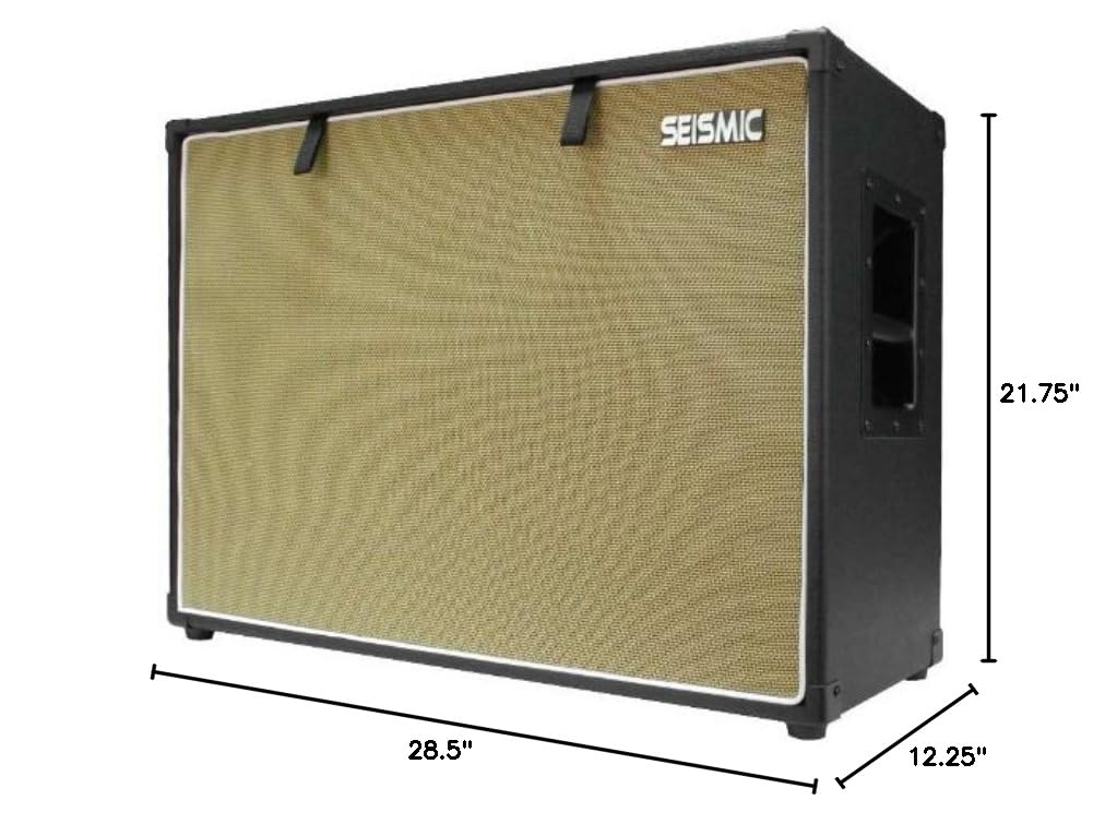 2x12 Birch Guitar Speaker Cabinet P96589