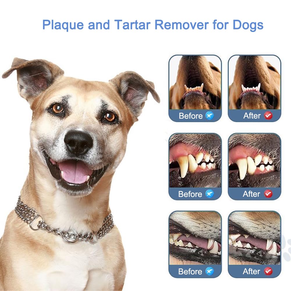 Pet Ultrasonic Tooth Cleaner with 3 Adjustable Modes F53110