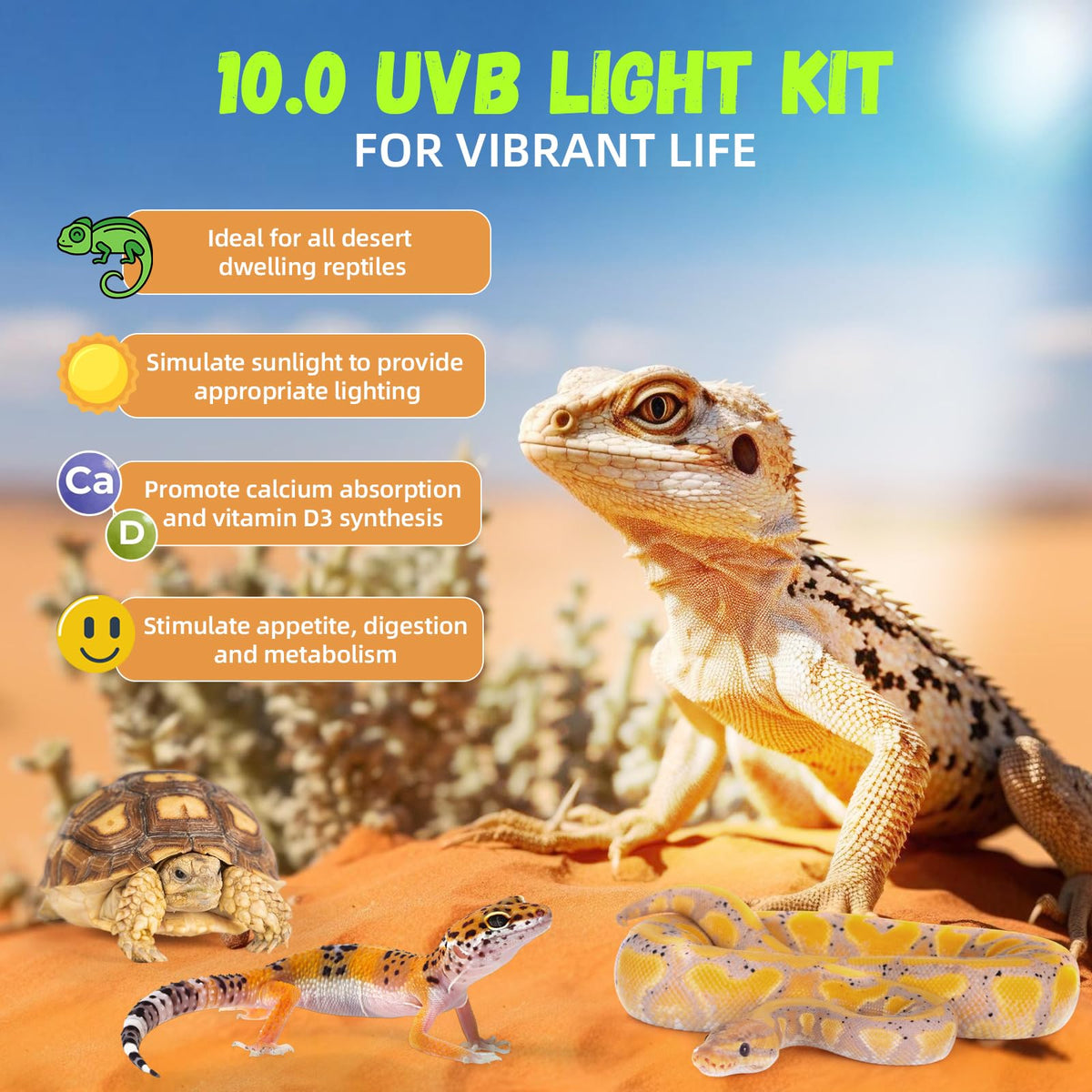 24W 10.0 T5 UVB Reptile Light Fixture Combo Kit 22inch Terrarium Hood A48555
