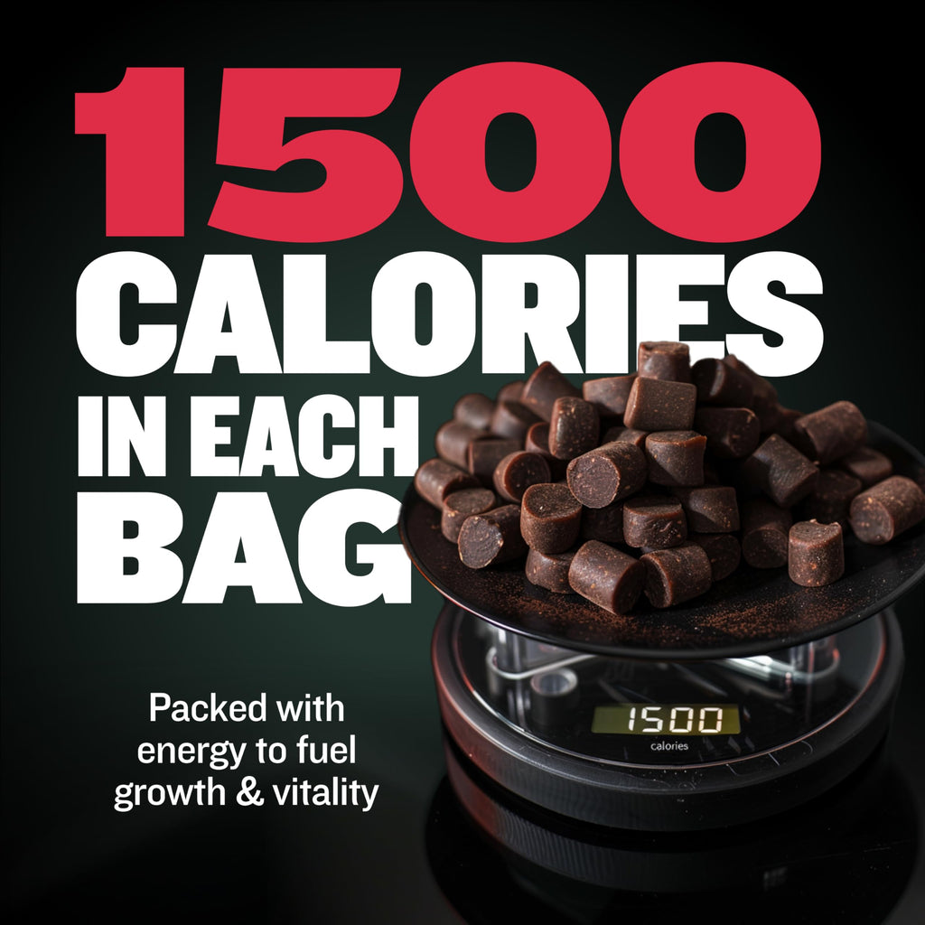 High-Calorie Liquid Weight Gainer & Soft Chews for Dogs D886864