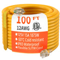 100 FT 12/3 Gauge Heavy Duty Outdoor Extension Cord Waterproof D18452
