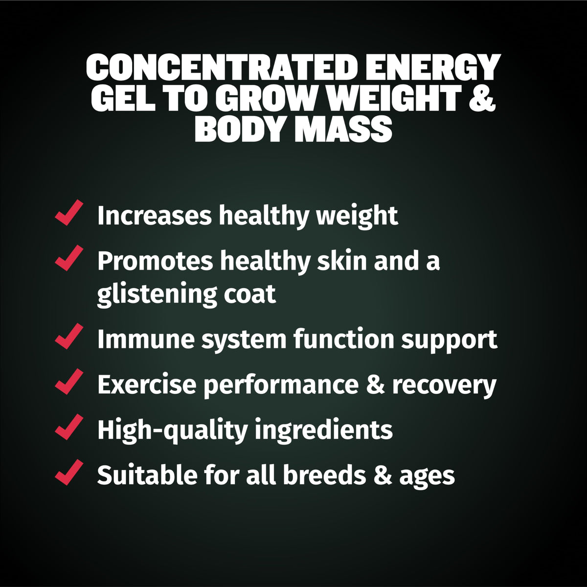High-Calorie Liquid Weight Gainer & Soft Chews for Dogs D886864