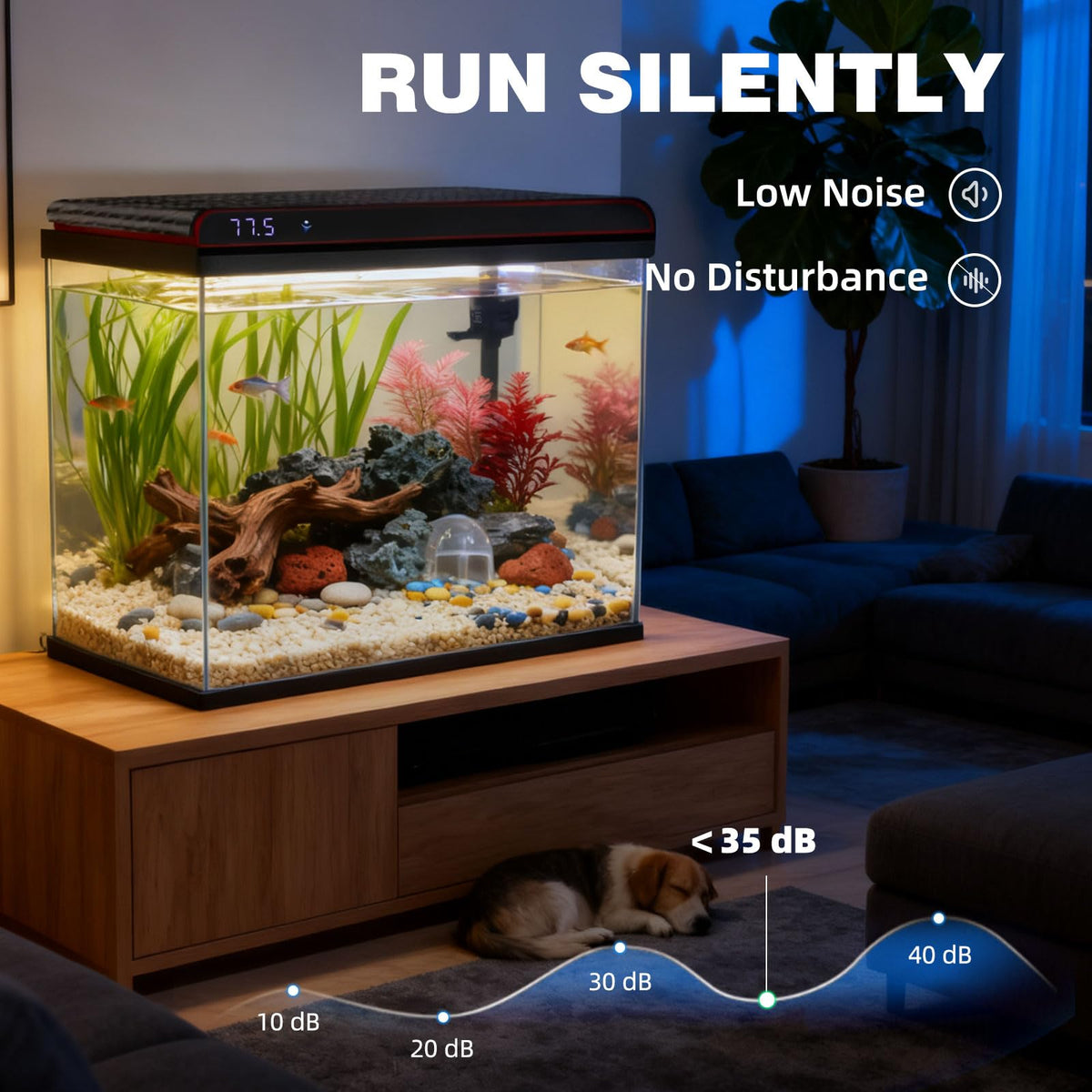 20 Gallon Glass Fish Tank Aquarium Starter Kit with LED Lights Filter Pump F84474