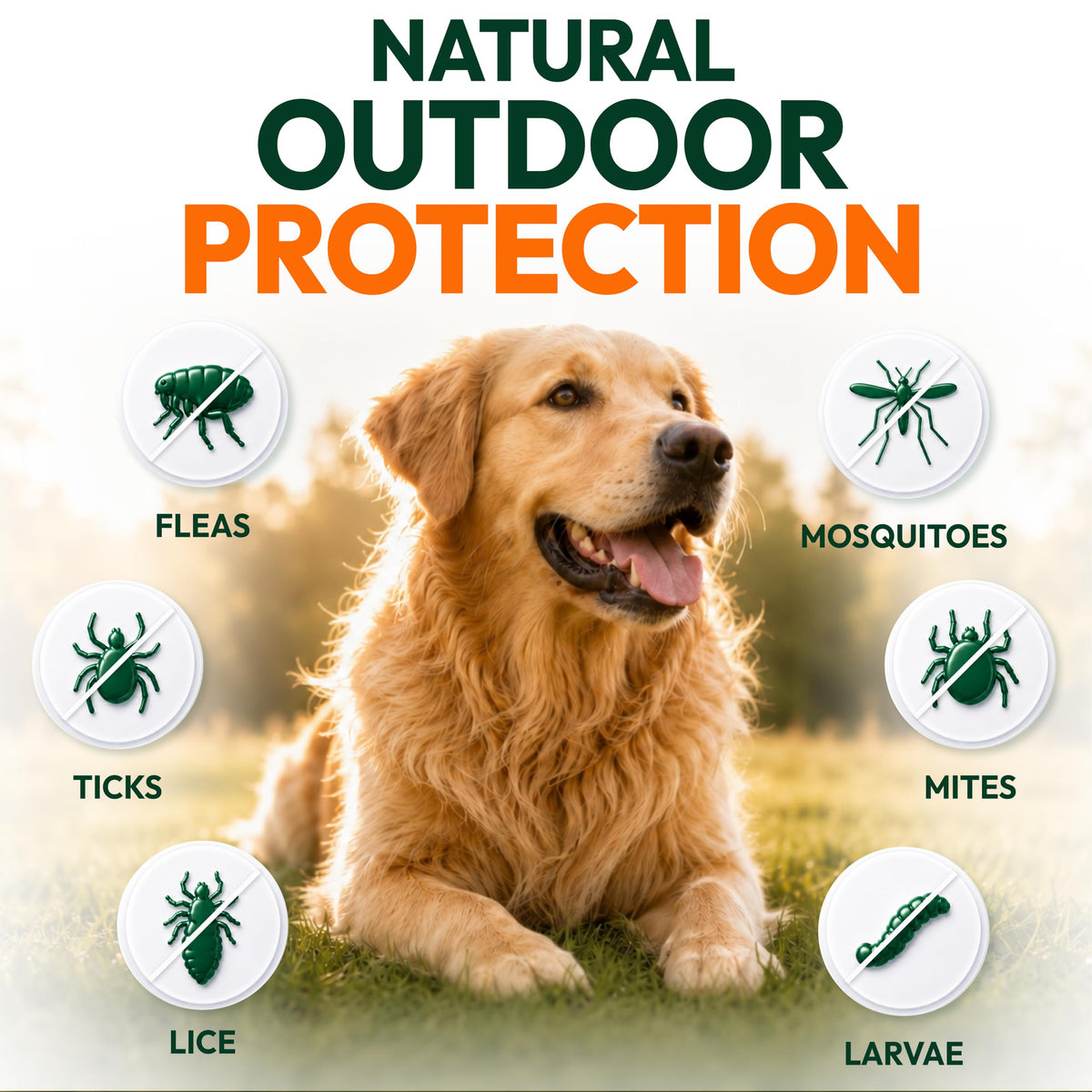 Flea and Tick Prevention for Dogs Soft Chewables W84612
