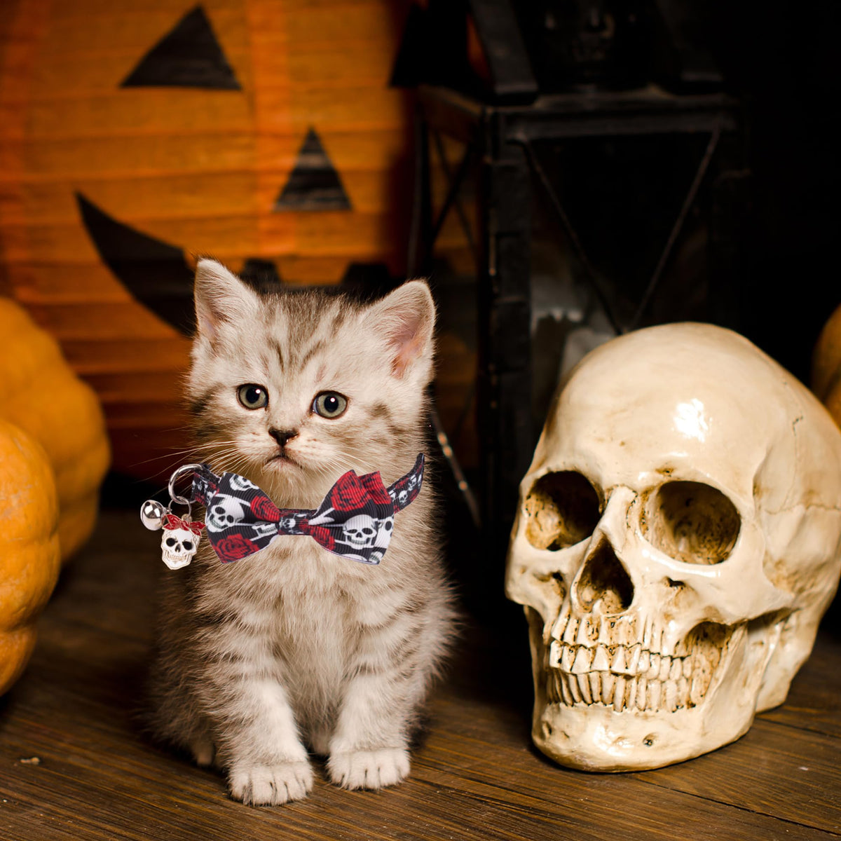Halloween Cat Collar with Bow Bell T6989