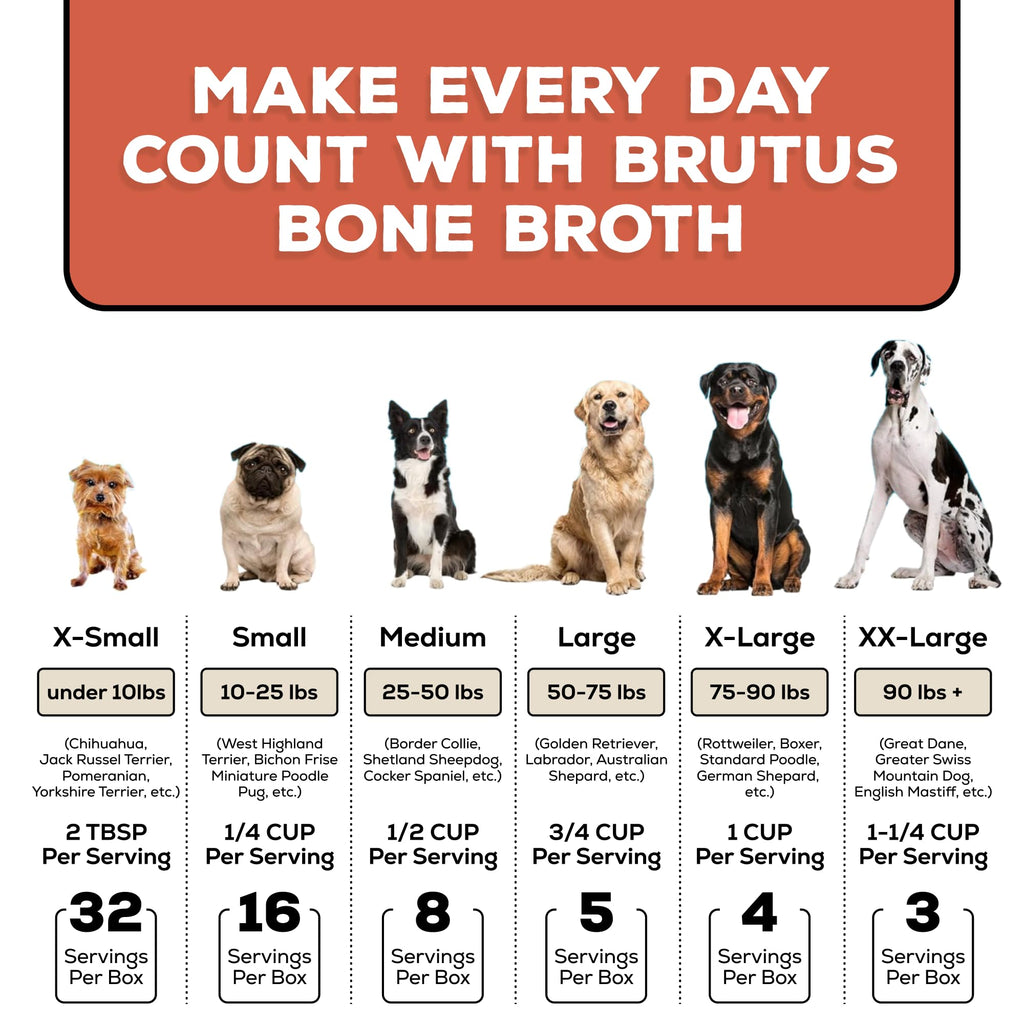 Instant Bone Broth Dog Food Topper Beef Flavor Pack of 2 B3614