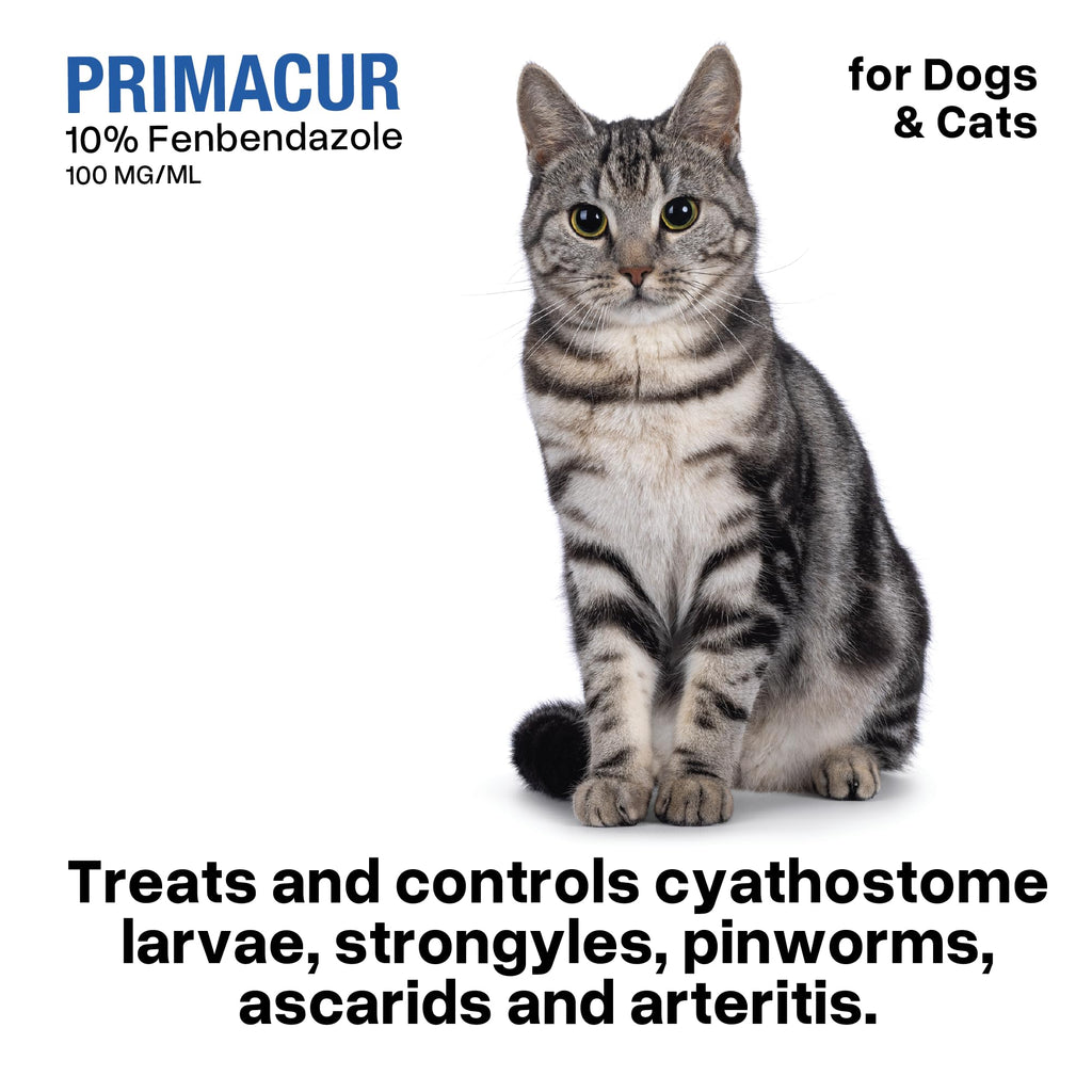 Broad-Spectrum Oral Suspension 10% for Dogs and Cats 120ML/4.1oz Bacon Flavor R203