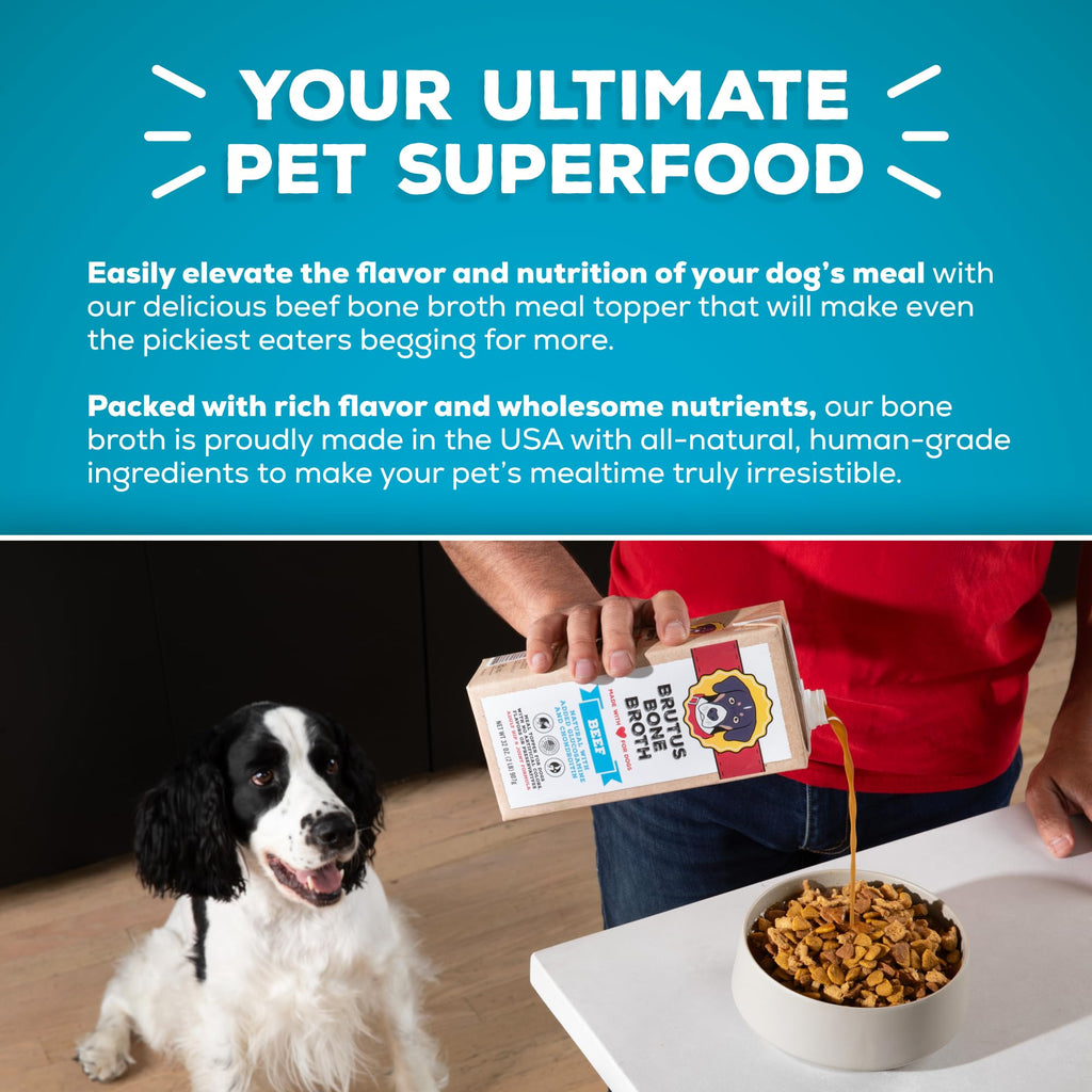 Instant Bone Broth Dog Food Topper Beef Flavor Pack of 2 B3614