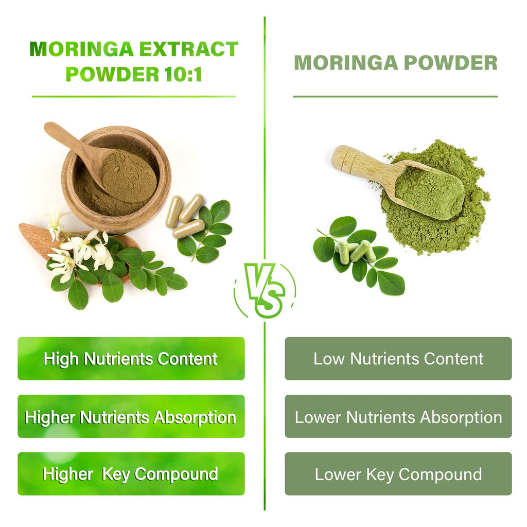 Moringa Oleifera Leaf Extract Capsules 150 Count O526509