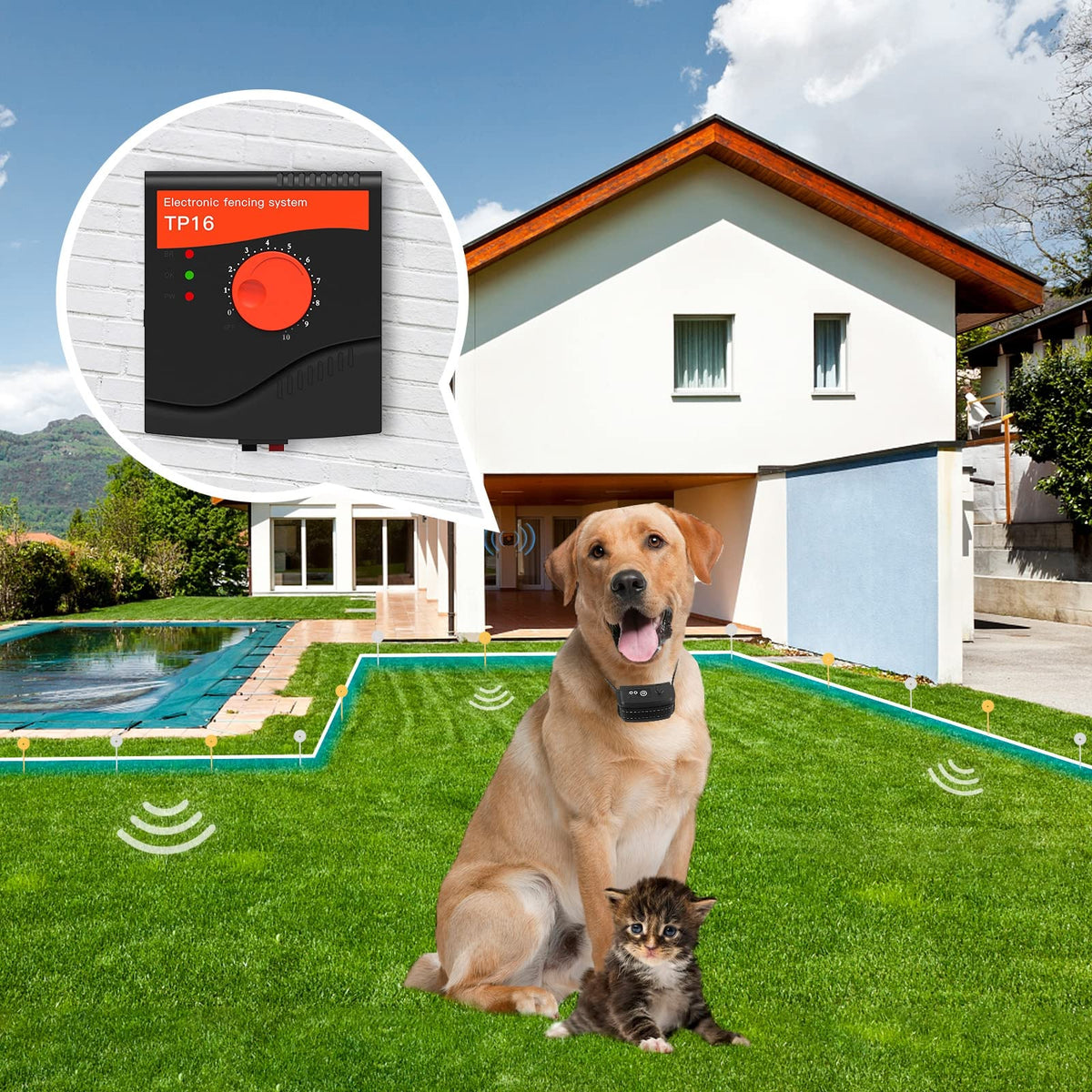 Electric Dog Fence, 984 Ft Wire, IP66 Waterproof Receiver V67877