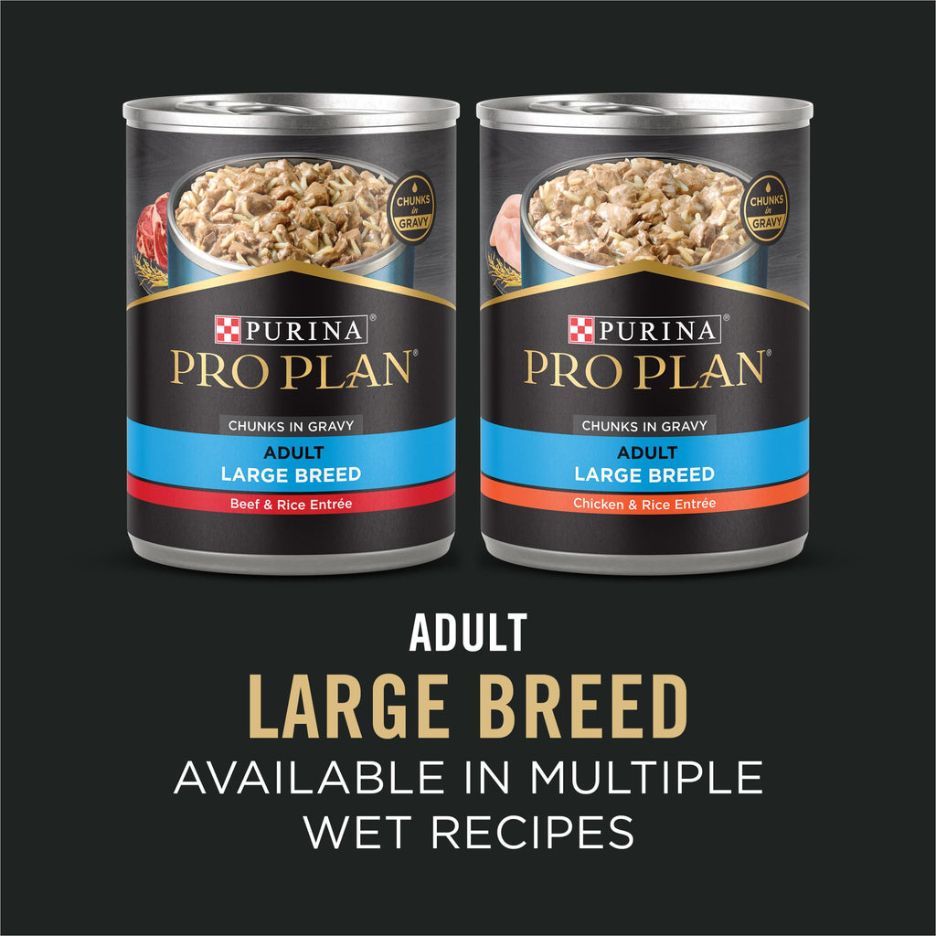 Chicken & Rice Large Breed Dry Dog Food 34 lb Bag J167131