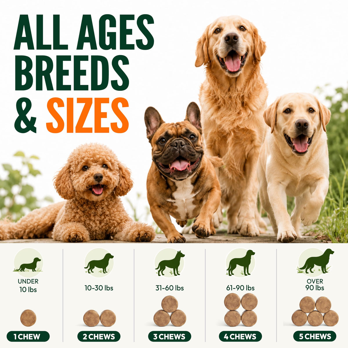Flea and Tick Prevention for Dogs Soft Chewables W84612