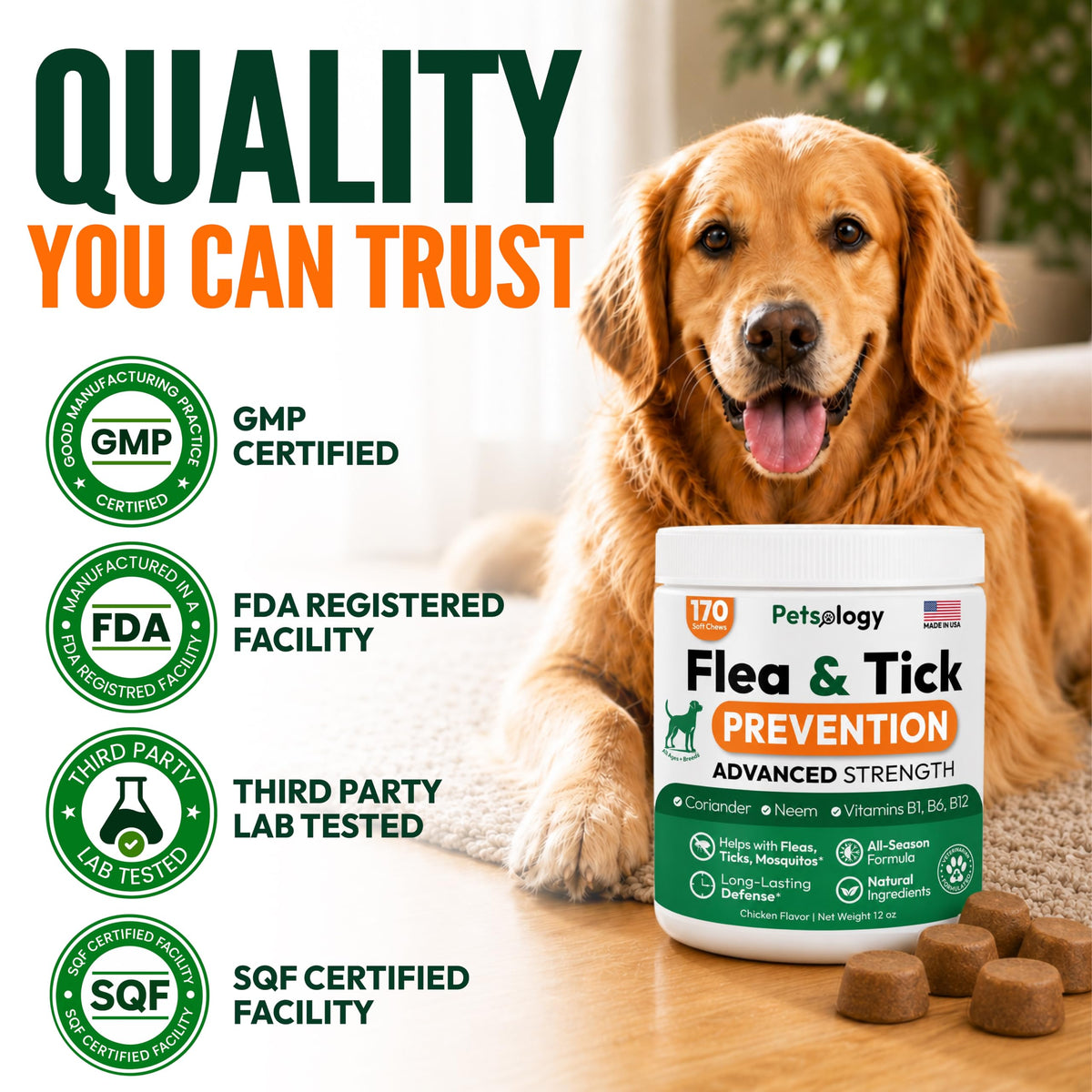 Flea and Tick Prevention for Dogs Soft Chewables W84612