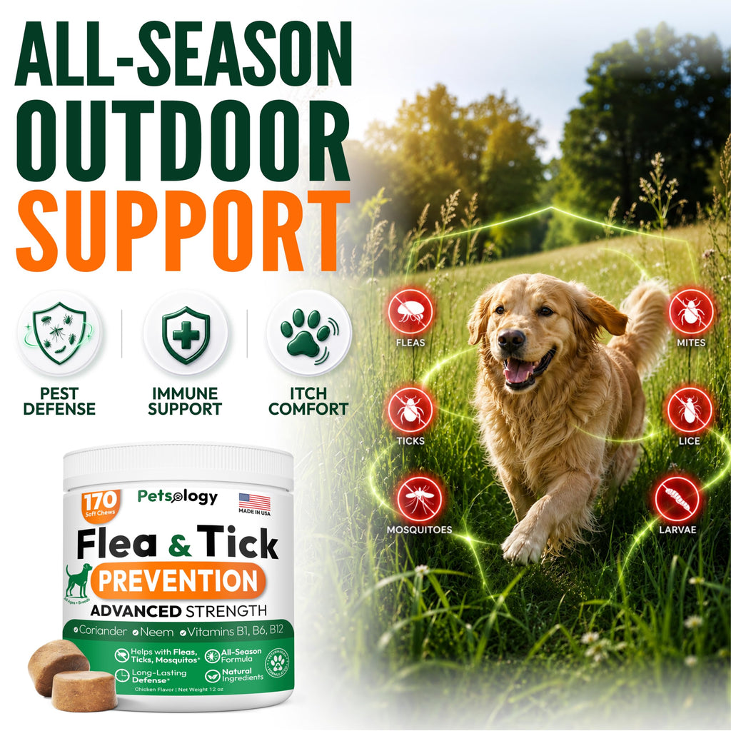 Flea and Tick Prevention for Dogs Soft Chewables W84612