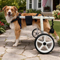 Adjustable Large Dog Wheelchair U282932