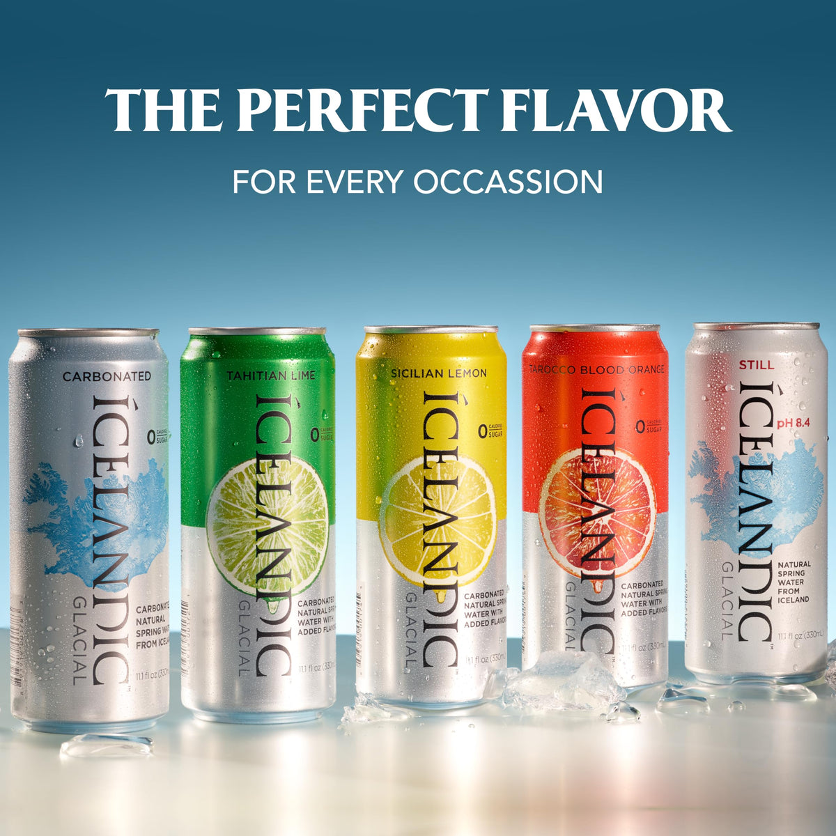 Sparkling Water 330 ml Cans Pack of 10 Z1879